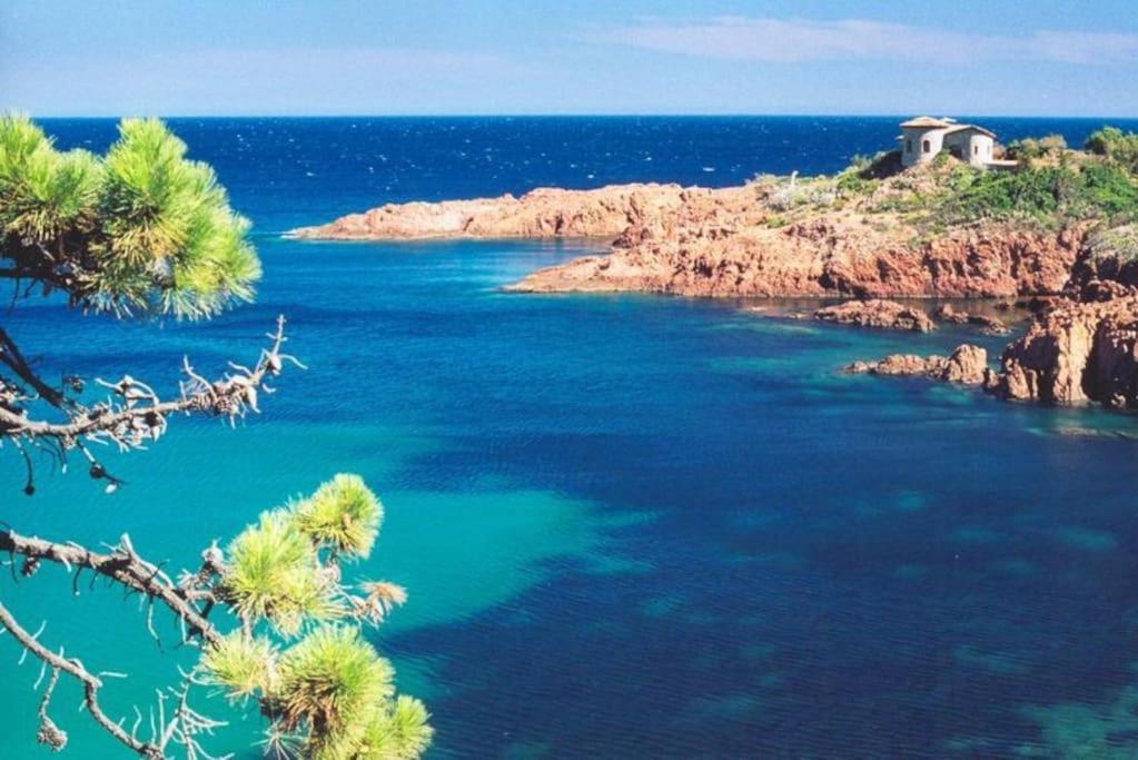 Superbe Dans Provencale Piscine Et Jardin Appartement Fréjus