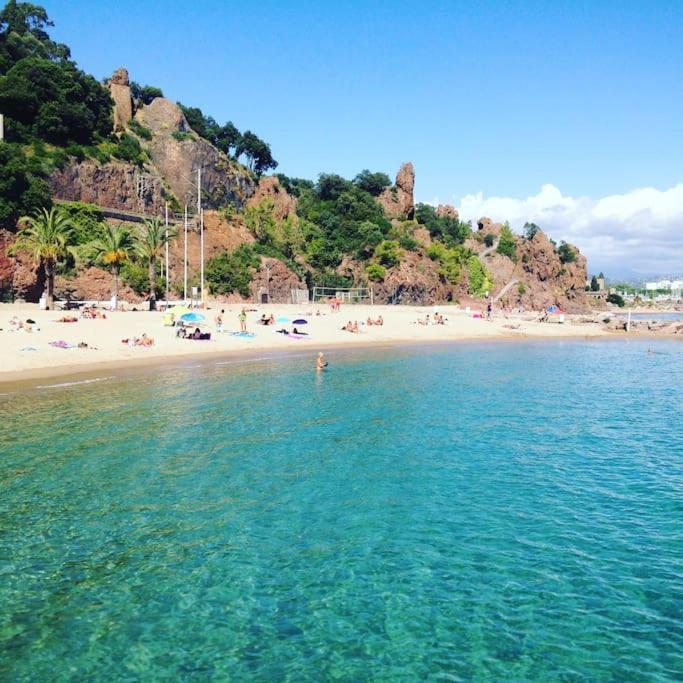 Superbe Dans Provencale Piscine Et Jardin Apartment Frejus