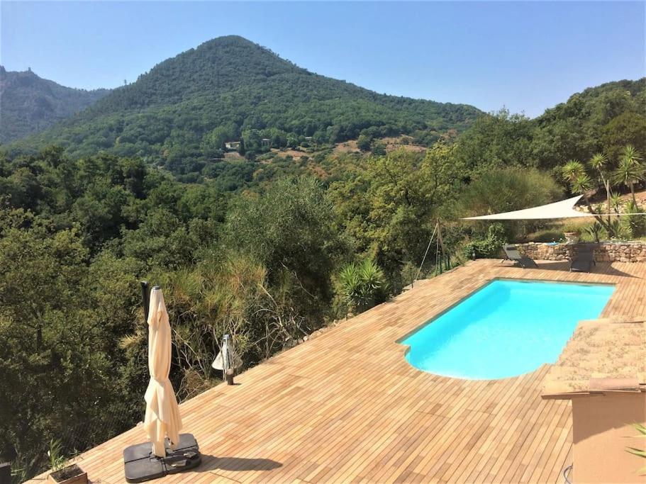 Superbe Dans Provencale Piscine Et Jardin Fréjus