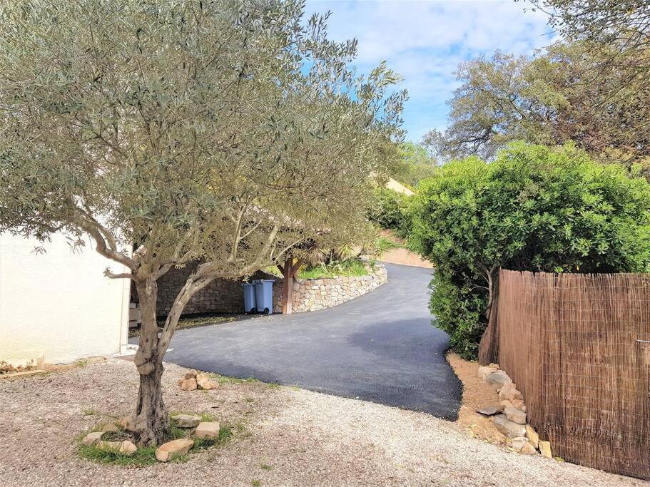 Superbe Dans Provencale Piscine Et Jardin Appartement *